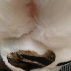 Video by saoirsemutt published on March 7,2023 20:37:00 - BestThots