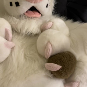 Video by saoirsemutt published on April 5,2023 02:53:00 - BestThots