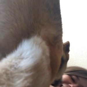 Video by ms_miri published on August 20,2023 03:19:38 - BestThots