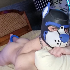 pupbuday #5416479