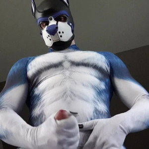 Video by pupbuday published on May 8,2023 19:34:00 - BestThots