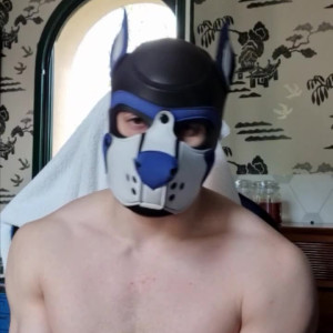 Video by pupbuday published on March 12,2023 06:41:00 - BestThots