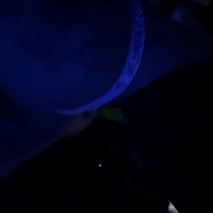 cxllitoxv #8941684