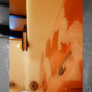 Video by motzie published on May 29,2023 05:09:00 - BestThots