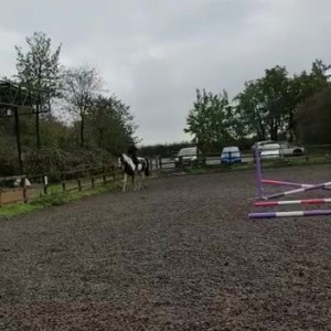Video by amygreen published on May 2,2023 00:18:00 - BestThots