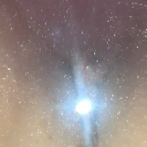 Video by arialeexxx published on March 4,2023 21:55:00 - BestThots