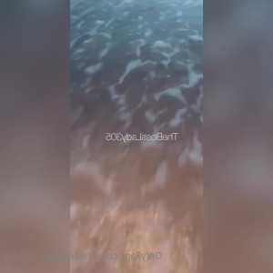 thebosslady305videos #5072931