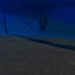 Video by katcalico published on July 24,2023 16:02:00 - BestThots