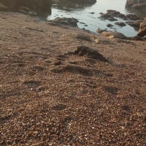 Video by katcalico published on March 20,2023 12:46:00 - BestThots