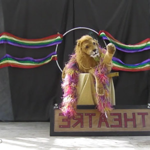 Video by katcalico published on July 26,2023 00:38:00 - BestThots