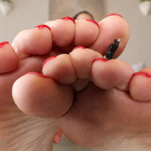 ivorysoles #5466788