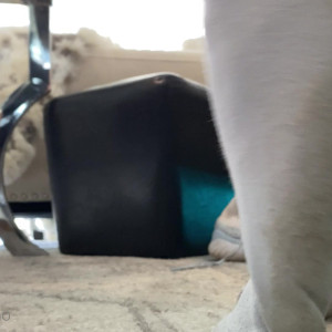 ivorysoles #5477161