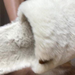 Video by ivorysoles published on April 15,2023 15:43:00 - BestThots