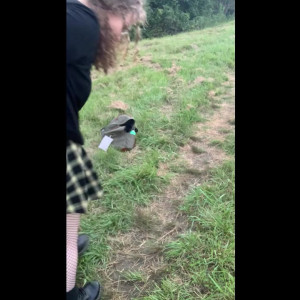 koi.kink #4654276