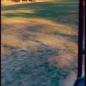 Video by granitegirl published on May 18,2023 15:33:00 - BestThots