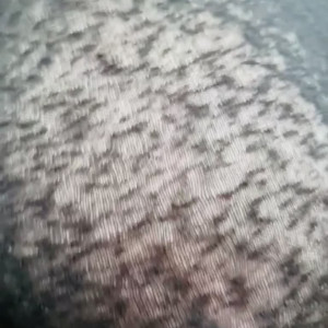Video by granitegirl published on April 4,2023 20:32:00 - BestThots