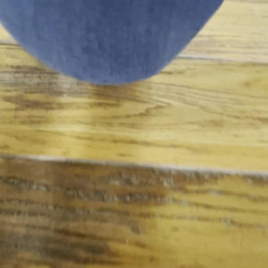 Video by granitegirl published on August 5,2023 21:47:00 - BestThots