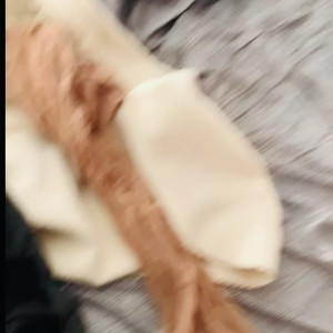Video by granitegirl published on April 21,2023 12:04:00 - BestThots