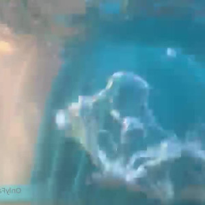 Video by nataliaquimera published on August 7,2023 22:24:00 - BestThots