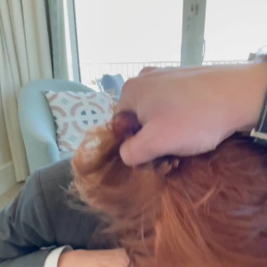 Video by aliceoncam published on March 15,2023 06:42:00 - BestThots