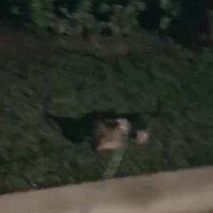 Video by sweetteonly published on August 8,2023 18:58:00 - BestThots