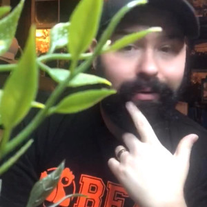 Video by bearcub56 published on June 23,2023 02:13:00 - BestThots