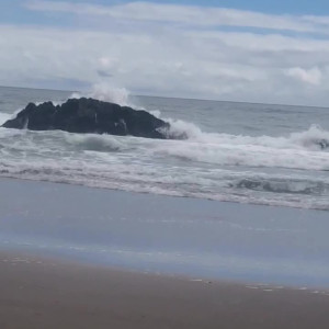 Video by bearcub56 published on July 17,2023 05:33:00 - BestThots