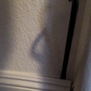 Video by rejaniced published on June 22,2023 15:50:00 - BestThots