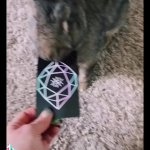 Video by goddess.sylvanas published on April 17,2023 04:59:00 - BestThots