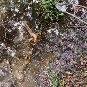 Video by goddess.sylvanas published on June 17,2023 09:20:00 - BestThots