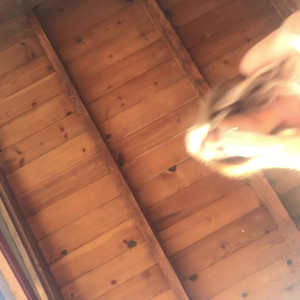 Video by tashareign published on July 20,2023 03:07:00 - BestThots