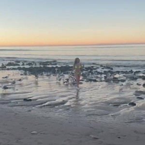 Video by farrahabraham published on June 19,2023 05:56:00 - BestThots