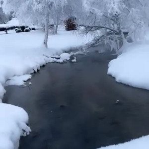 Video by farrahabraham published on August 3,2023 22:45:00 - BestThots