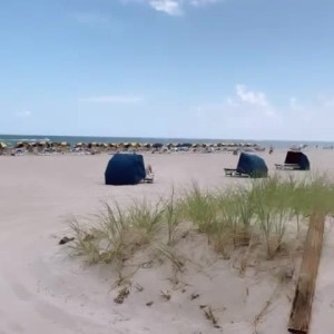 Video by farrahabraham published on June 15,2023 12:31:00 - BestThots