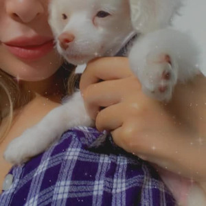 Video by farrahabraham published on July 30,2023 22:23:00 - BestThots