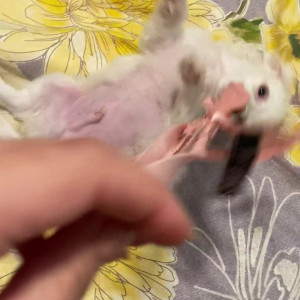 Video by farrahabraham published on June 12,2023 21:51:00 - BestThots