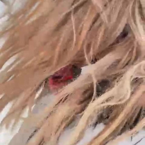 Video by farrahabraham published on August 1,2023 04:25:00 - BestThots