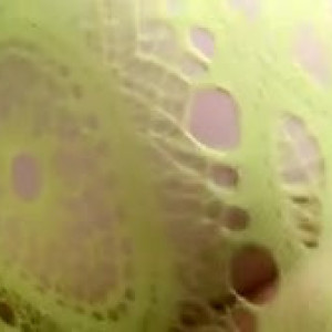 Video by bichota69sexting published on April 24,2023 12:29:00 - BestThots