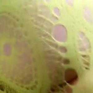 Video by bichota69sexting published on July 9,2023 12:37:00 - BestThots