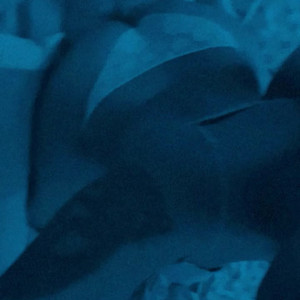 Video by bichota69sexting published on April 7,2023 10:54:00 - BestThots