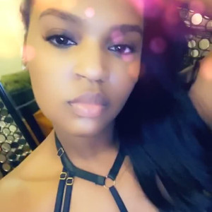 msdamnfree #5314907