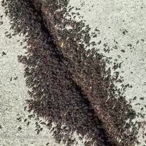 Video by iamnotyoursub published on July 8,2023 18:17:00 - BestThots
