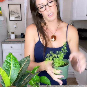 Video by iamnotyoursub published on July 15,2023 14:07:00 - BestThots