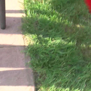Video by onlycreampies published on March 20,2023 10:48:00 - BestThots