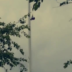 Video by xxhannahhaysxx published on August 20,2023 08:11:07 - BestThots