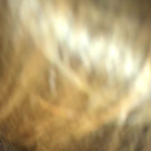 Video by ladybiigass published on August 2,2023 00:42:00 - BestThots