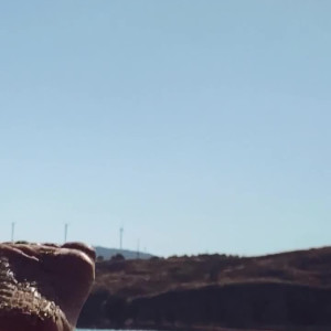 miss_anastasia #4791985