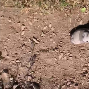Video by southernbooty published on March 26,2023 14:18:00 - BestThots