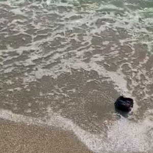 Video by plasticbarbie2000 published on August 20,2023 09:26:08 - BestThots