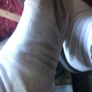 Video by latinamarina published on July 4,2023 10:07:00 - BestThots